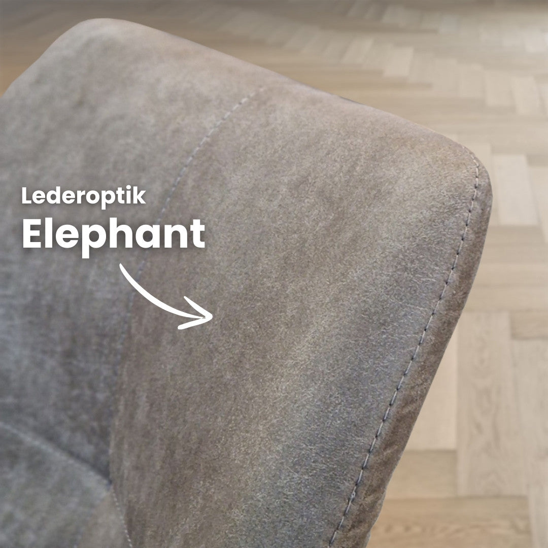 Esstisch Stuhl | Edelwald | Lederoptik<br>2 Stück