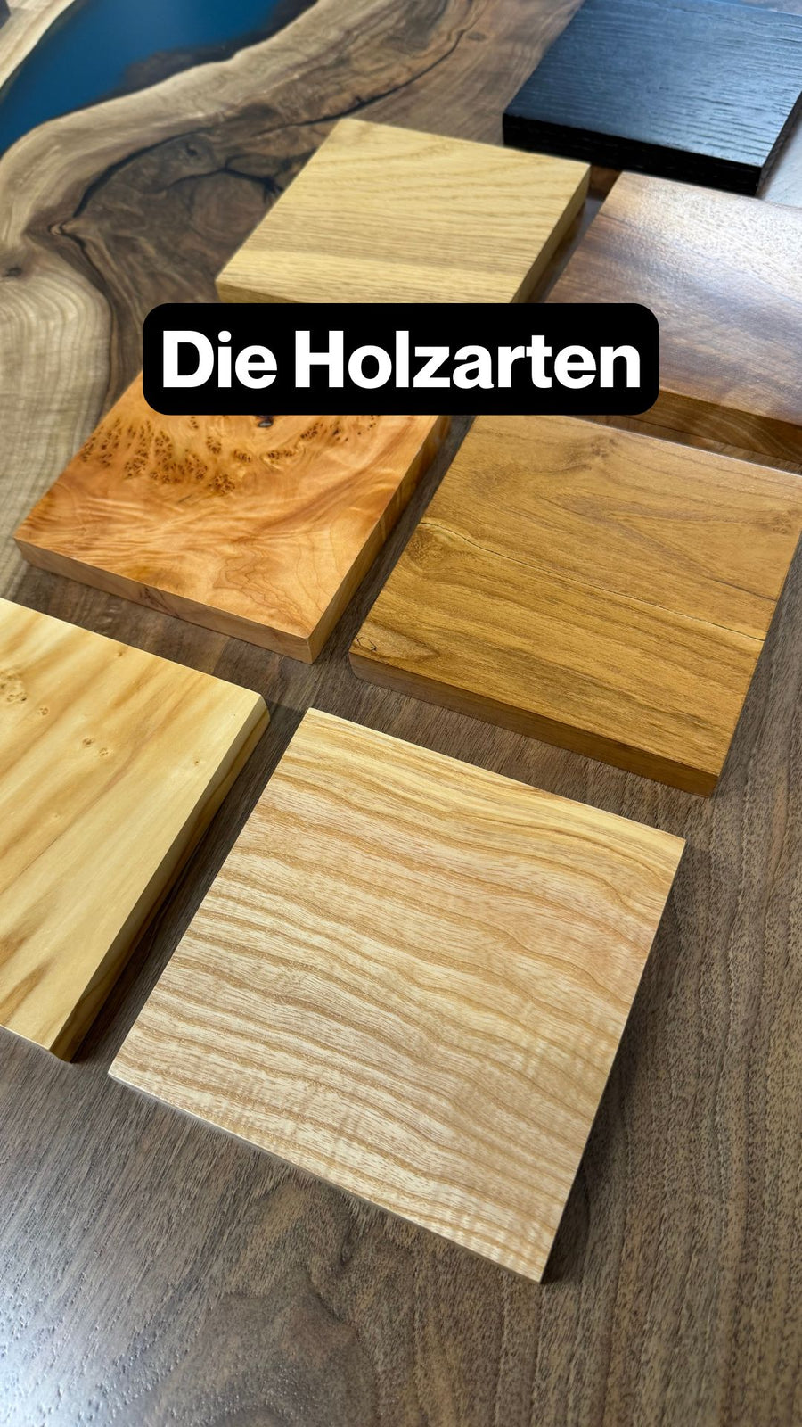 Holzarten